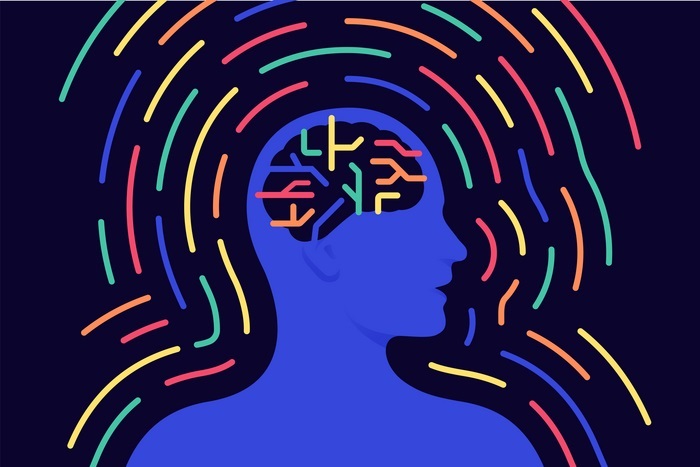 神经科学研究发现：身心联系深植于大脑