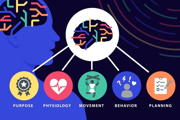 神经科学研究发现：身心联系深植于大脑