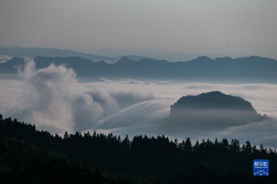 重庆金佛山：云绕山峦春色美