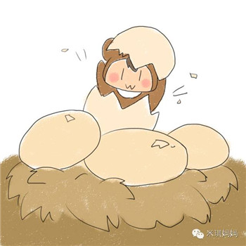 1 鸡蛋、鸭蛋、鹌鹑蛋,哪种蛋更适合给宝贝吃?