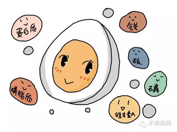 2 鸡蛋、鸭蛋、鹌鹑蛋,哪种蛋更适合给宝贝吃?