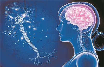 神经干细胞竞争上岗 两个基因是幕后推手