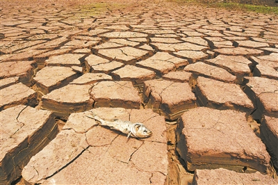 全球变暖背景下 骤旱将成干旱新常态