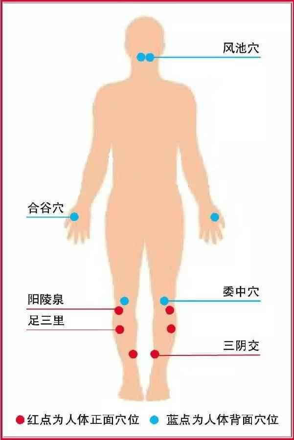 春末夏初,常按5大穴位“身体不拥堵”!