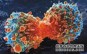 难得一见:中国顶级癌症专家盘点肺癌、乳腺癌、血液肿瘤治疗进展