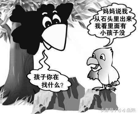 当孩子问“妈妈，我从哪里来？”时，你怎么回答